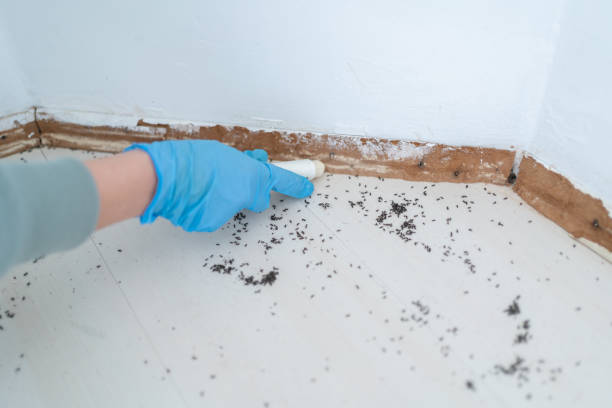 Best Best Pest Control Companies  in Worthington, KY